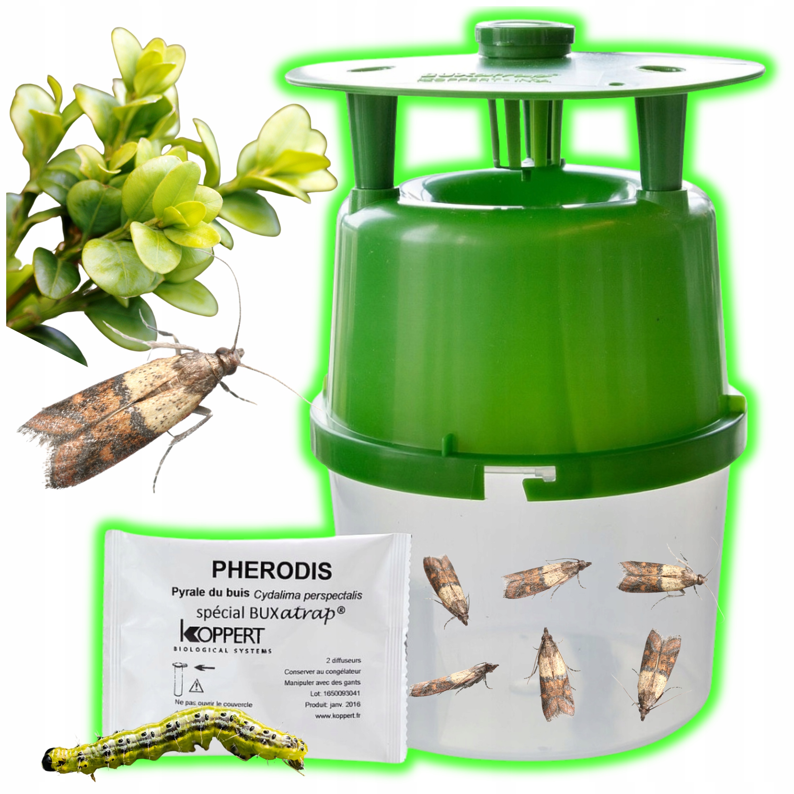 Silná Past Na Můry, Buxusovou Můru, Ultra Silný Buxatrap Vábnička