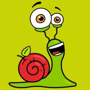 NATURALNE PRZEKĄSKI ŚLIMAK Bob Snail ZAWIJAS ZESTAW MIX 10 SMAKÓW bez CUKRU Stan opakowania oryginalne