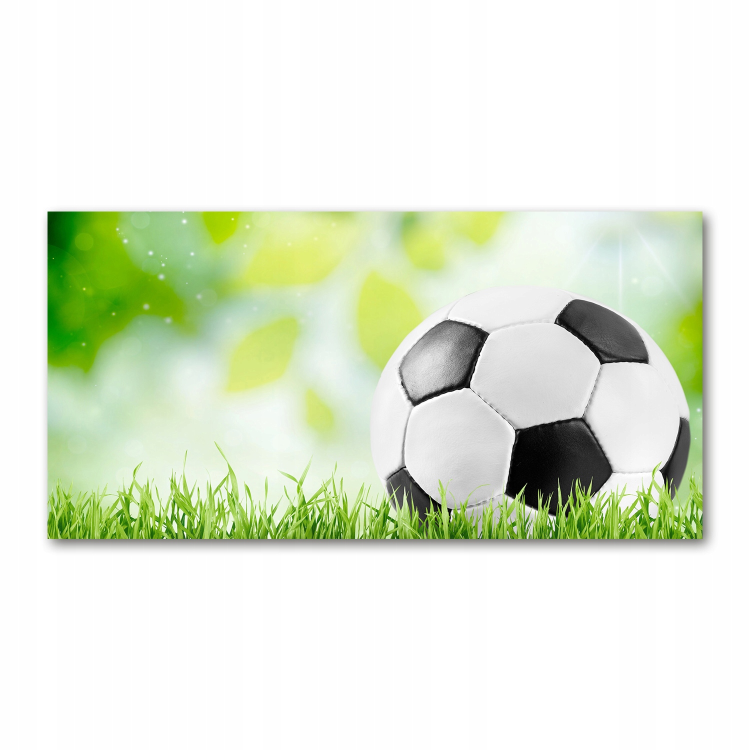 

Foto obraz akrylowy Piłka nożna zdjęcie 140x70 cm