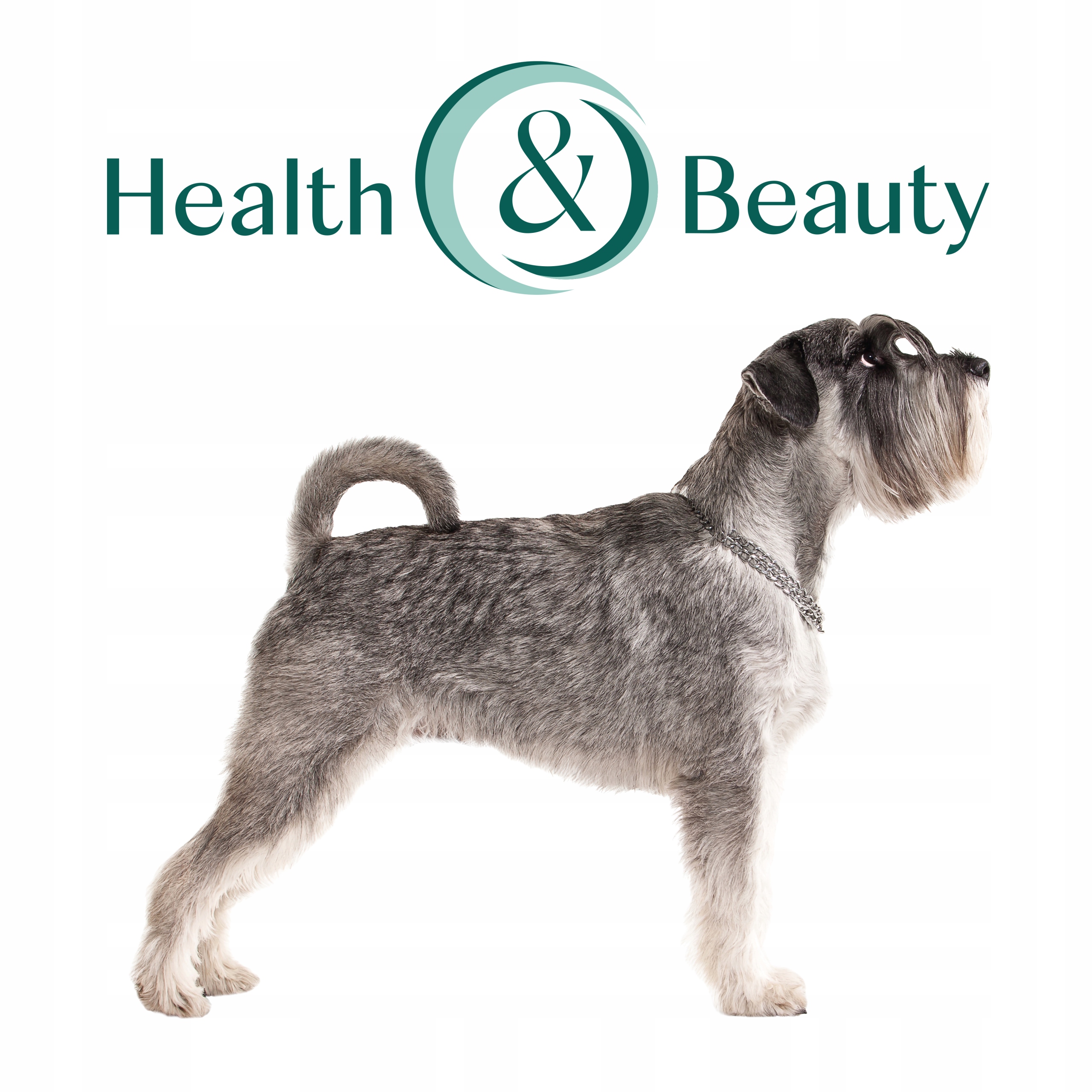 OPTIMEAL mokré krmivo pro psy - Králík a borůvky v omáčce 12x100g Věk zvířete dospělí psi