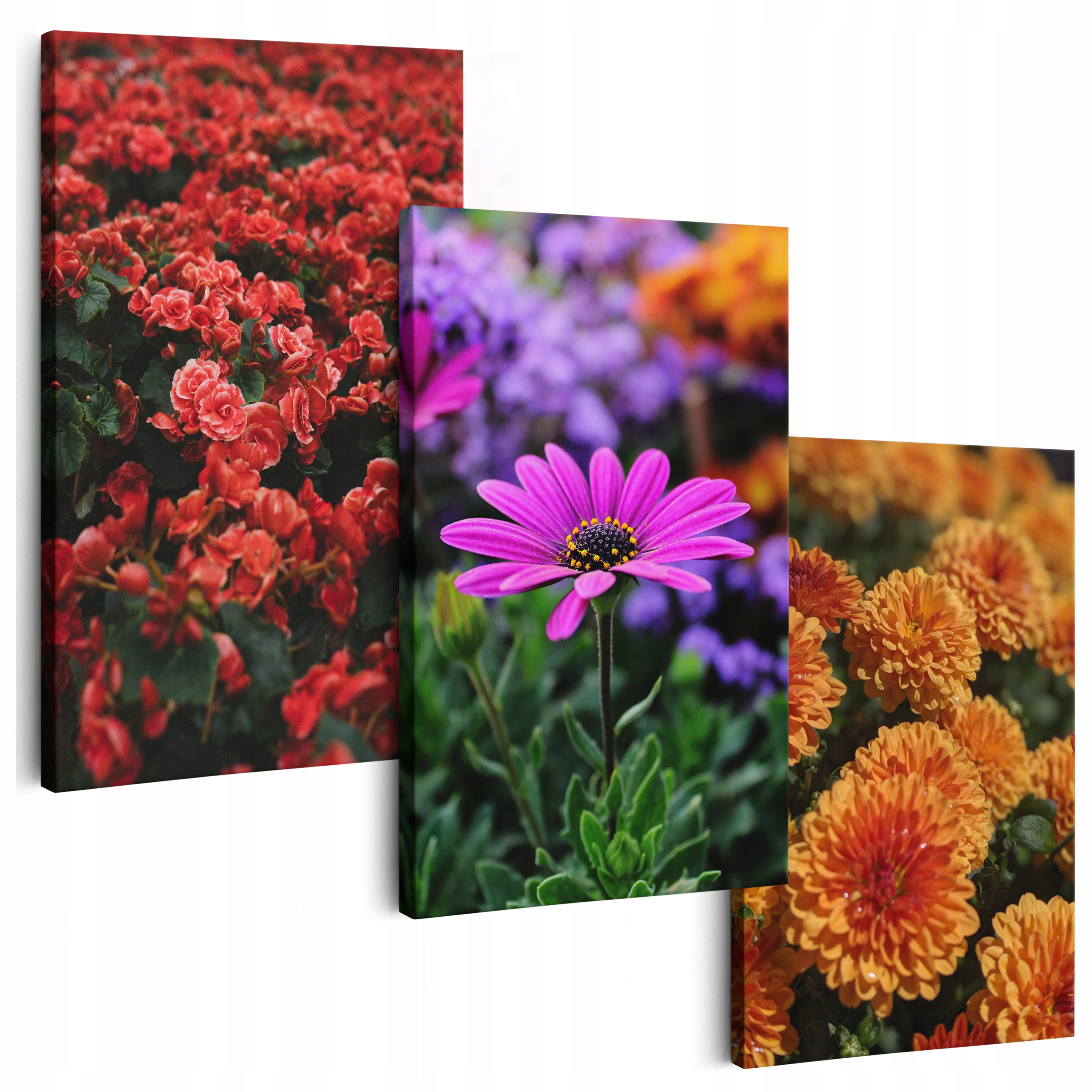 Obraz Na Plátně 150 cm **mnoho vzorů** Obrazy Do Obývacího Pokoje Triptych Květiny