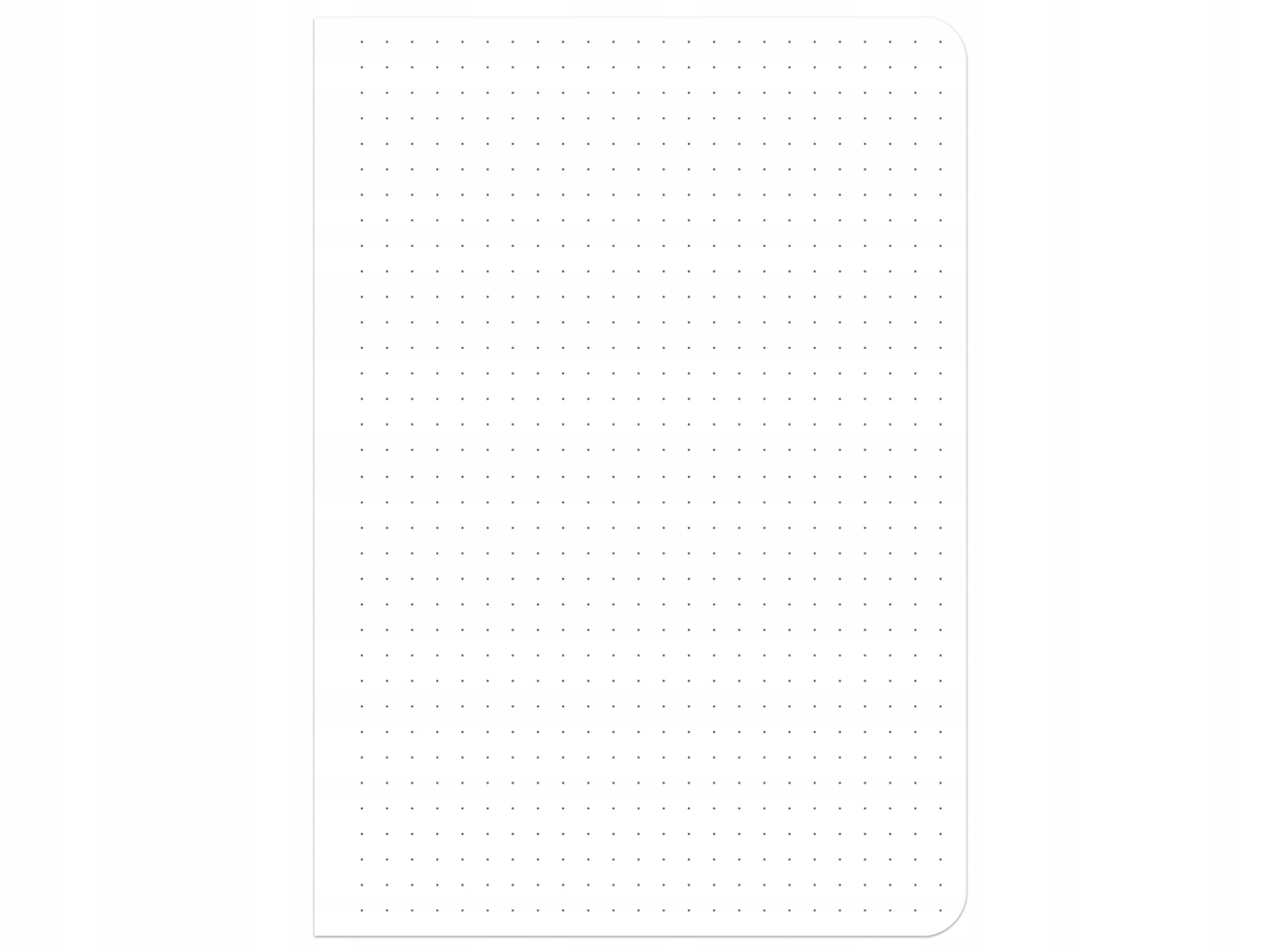 ORGANIZER Journal PLANER Notes A5 240 BUJO HEARTS Rodzaj planer