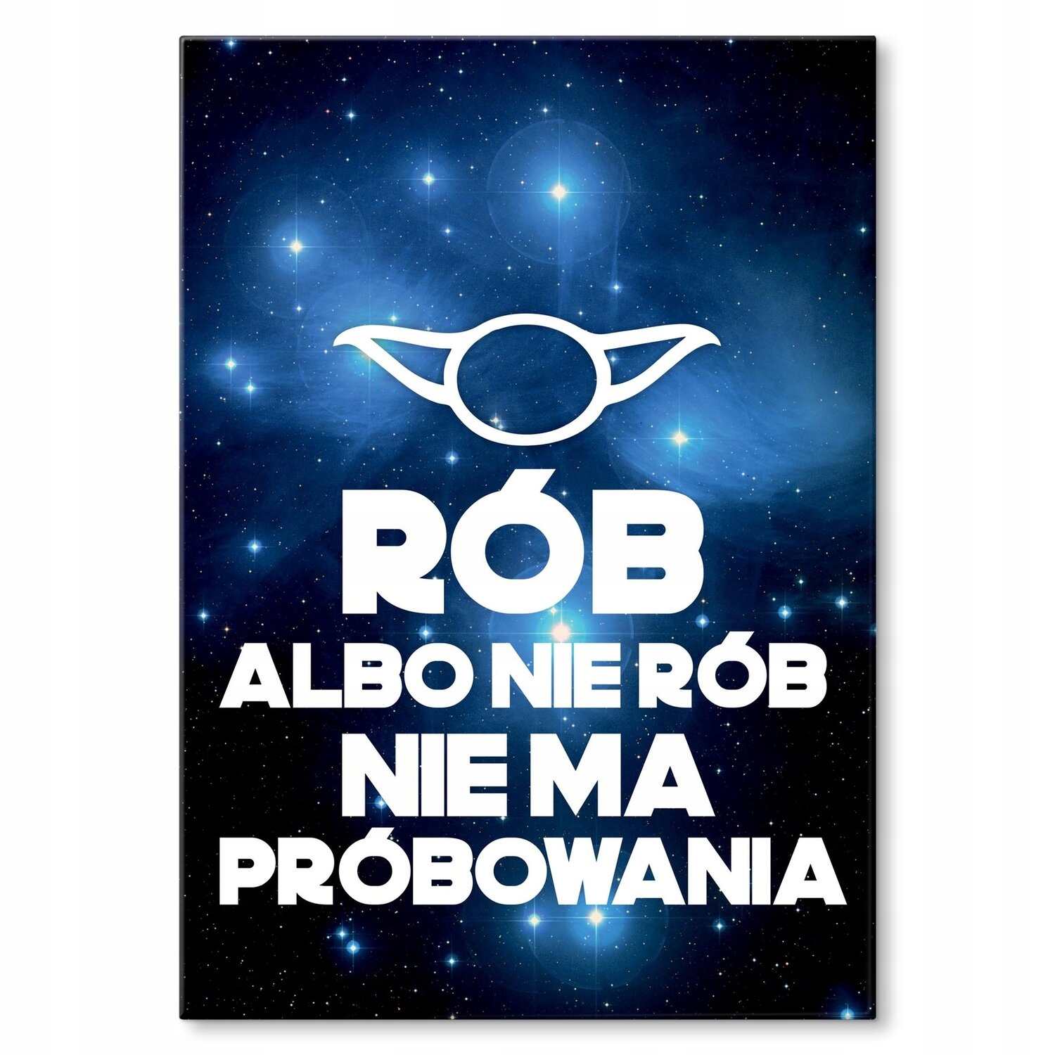 Kovový plakát Neexistuje žádný pokus o Dárek 42 x 59 cm