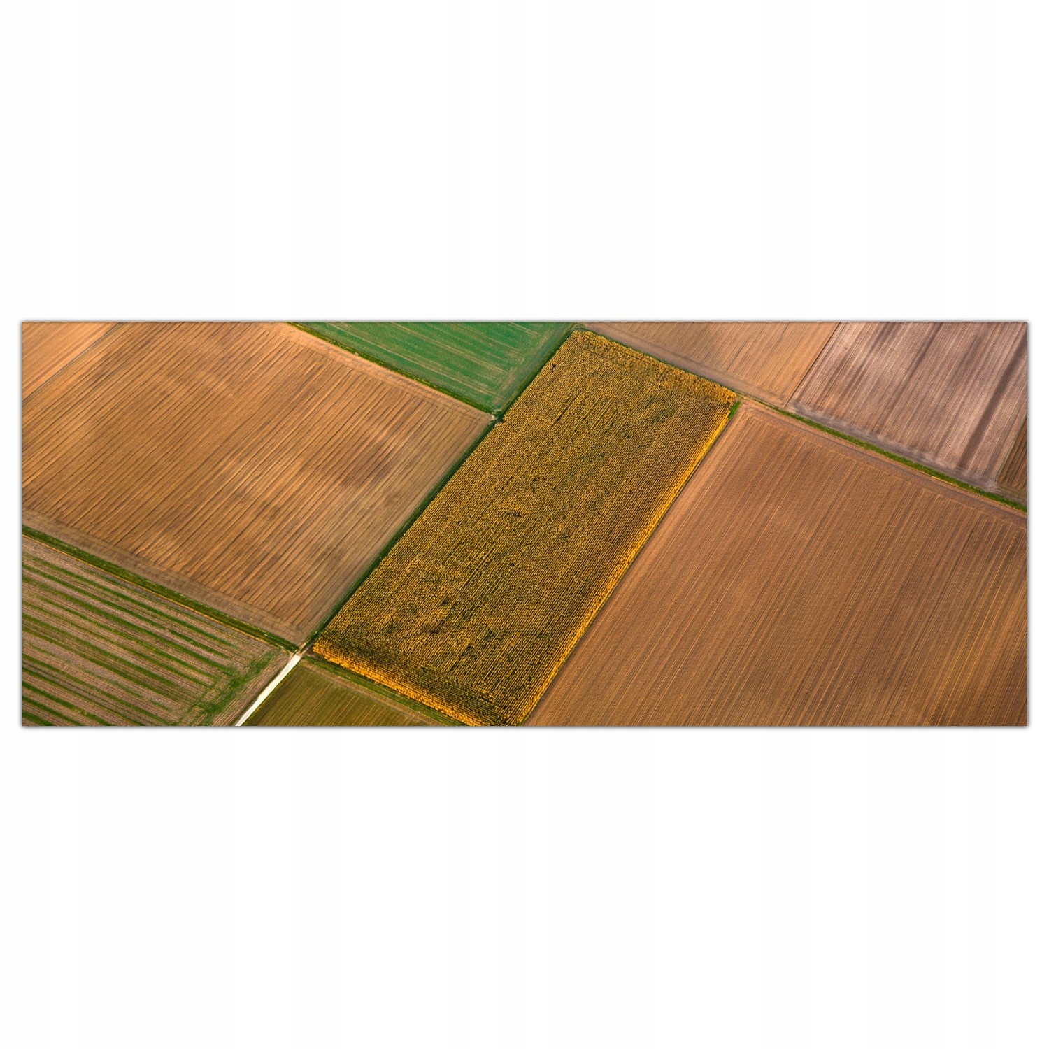 

Obraz na szkle Foto Pole Wieś Łąka Natura 125x50