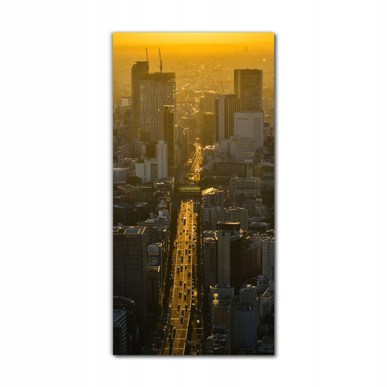 

Foto-obraz na szkle na ścianę 70x140 Pejzaż Tokio