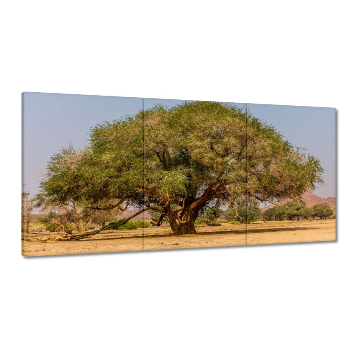 Obrazy 180x90 Strom Stromy Pohľad