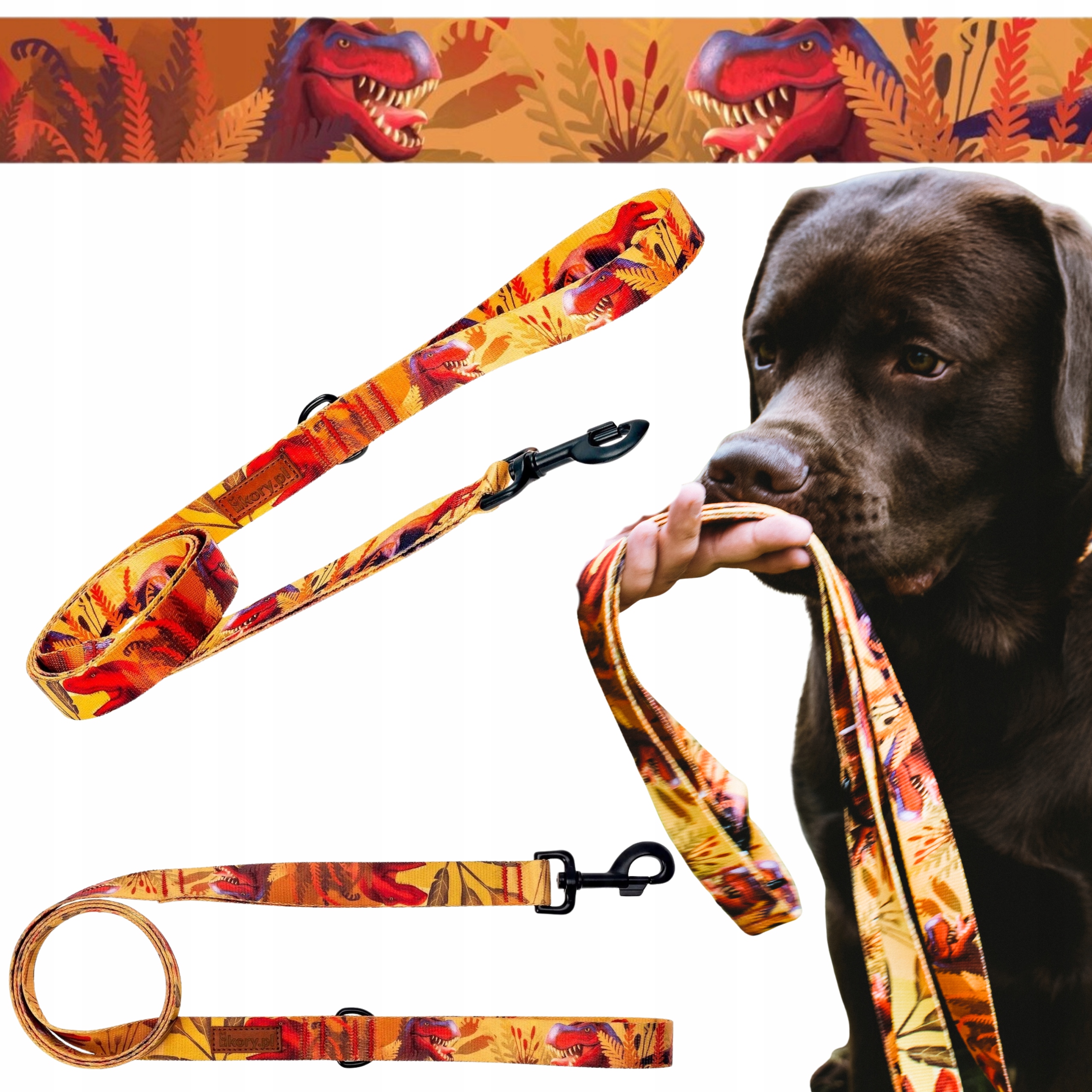 Vodítko jednoduchá pro malého psa štěněte do 6 kg 150 cm Ukory vzor Dinosauři
