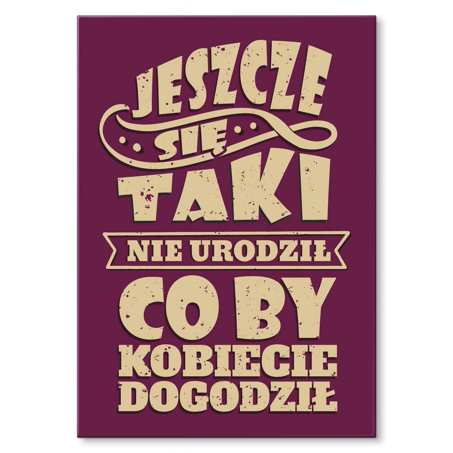 Kovový plakát Domluvit ženě Šidítko Plech 42 x 59,4 cm Dárek