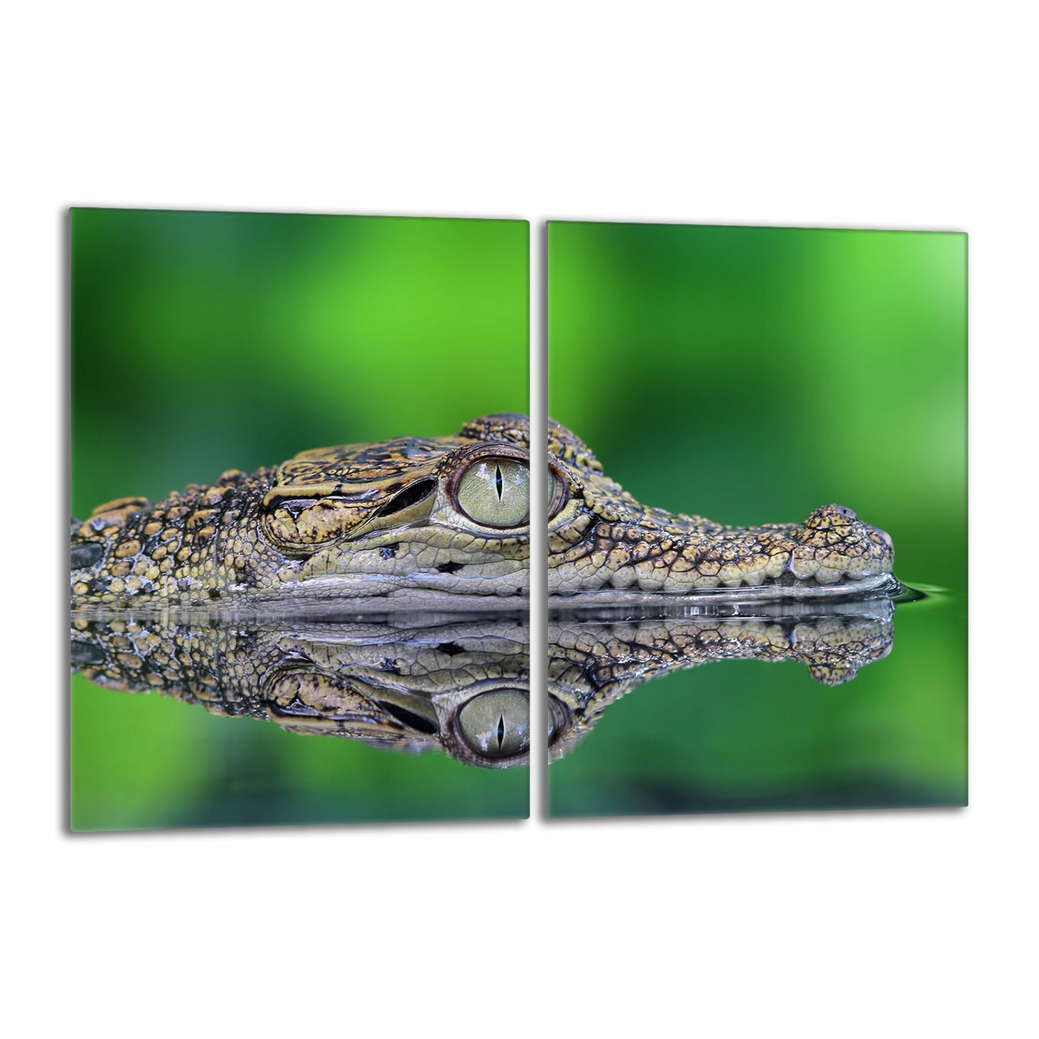 Skleněná ochranná deska na sporák 40x52 Krokodýl Do Kuchyně