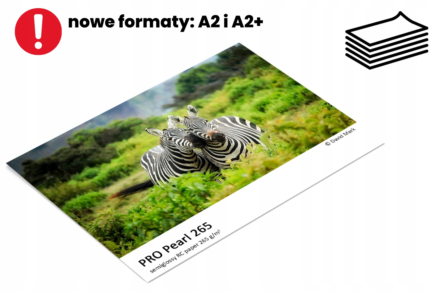 Fotografický papír Fomei Pro Pearl A4 100 Ks 265 g/m² perleťový