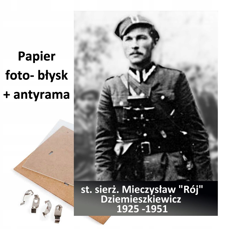 

Portret Zdjęcie Mieczysław Dziemieszkiewicz Rój A4