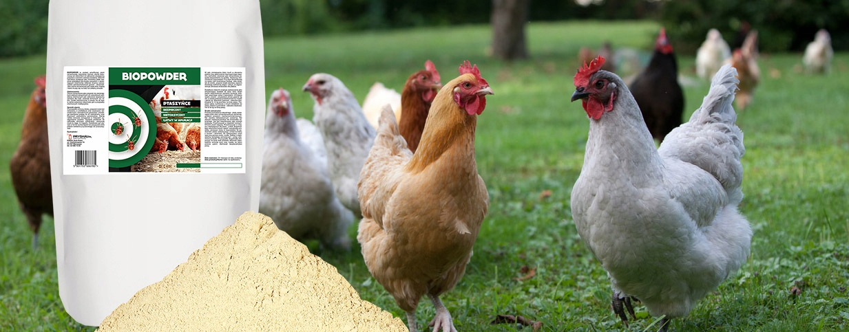 DIATOMIT ŚRODEK NA PTASZYŃCE WSZOŁY PIÓROJADY ZWALCZANIE PASOŻYTÓW 10KG Marka Strong