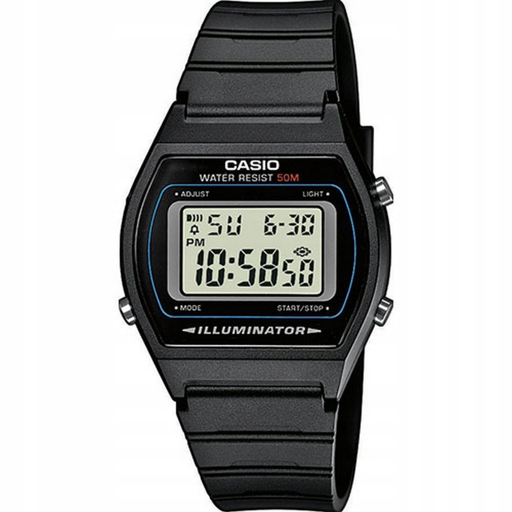 Casio pánské hodinky W-202-1AVEF