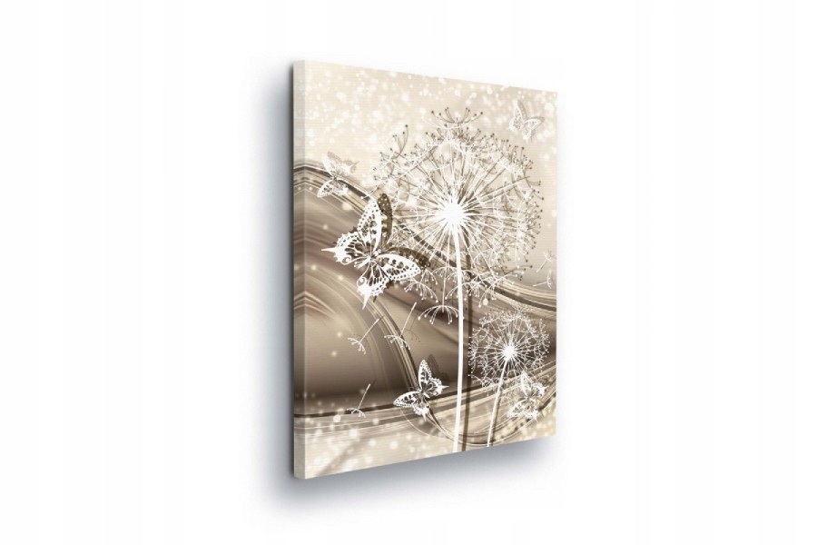 Obraz 75x100 Jemnost foukače let motýlů jiskřivá lehkost harmonie