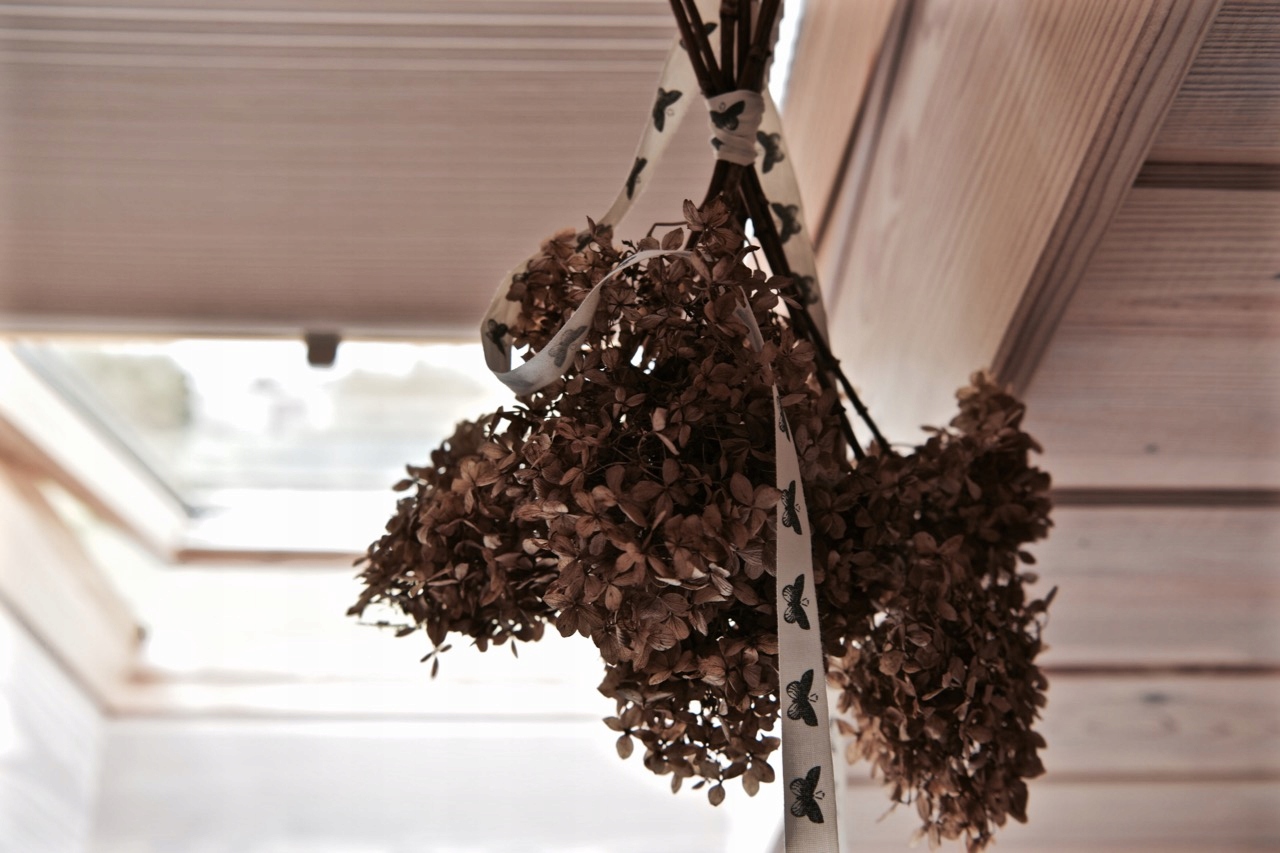 PRÓBKI PLISY HONEYCOMB okno dachowe PLASTER MIODU Szerokość produktu 20 cm