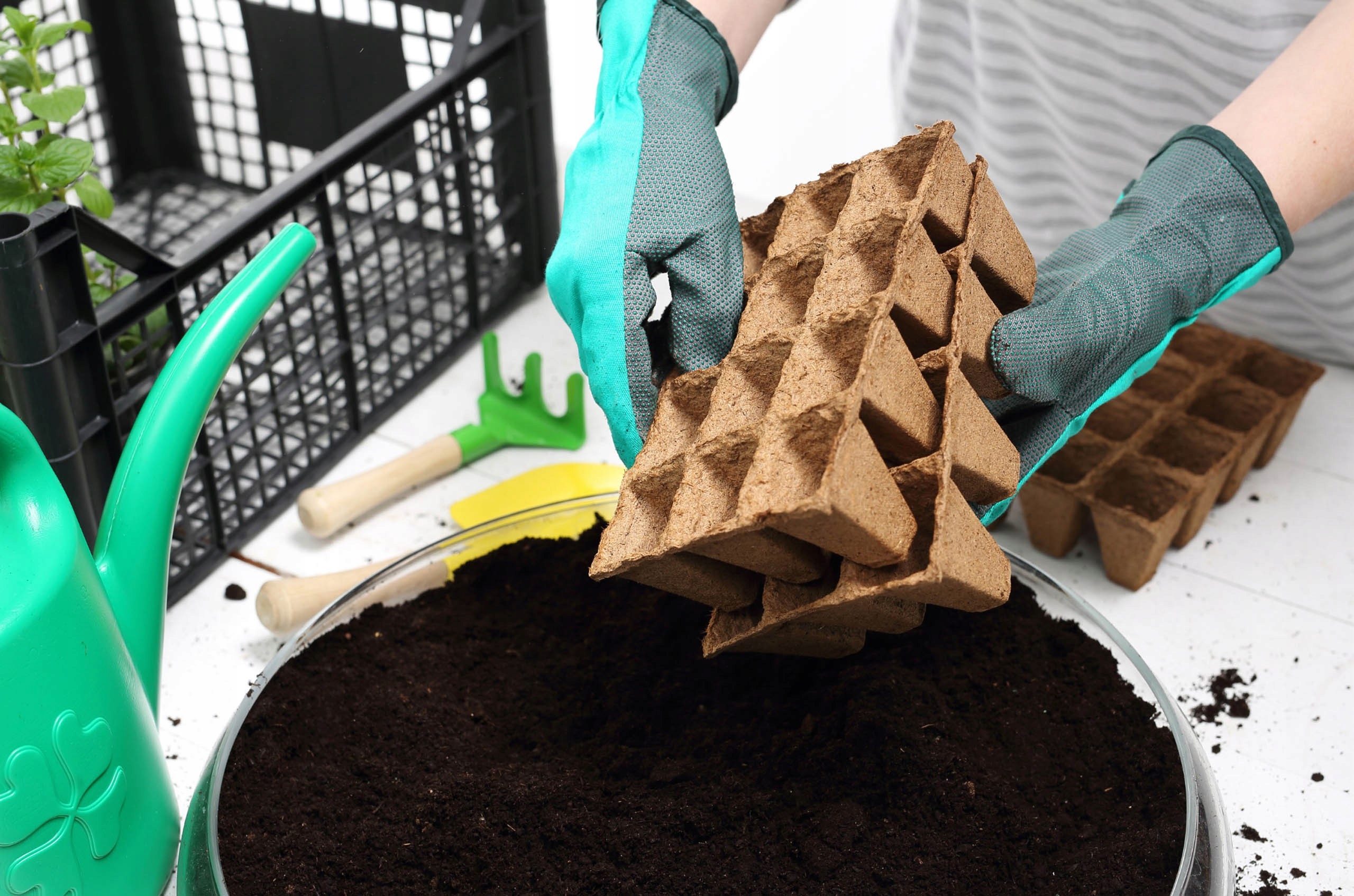 Zestaw doniczek torfowych 15,5x11,5x5cm 10 paletek Kod producenta EDA8488x1