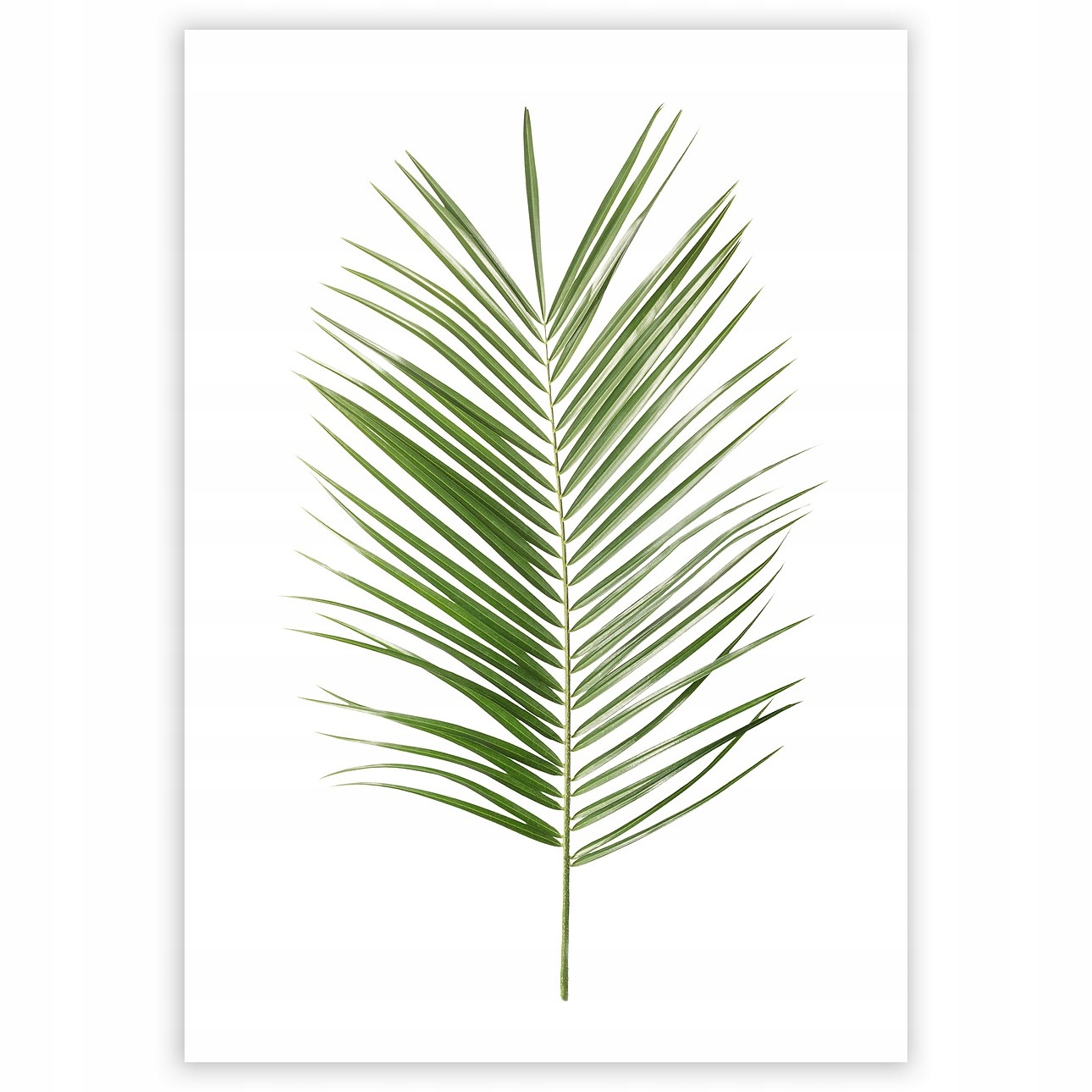 Dekoria Plagát Palm Leaf Green