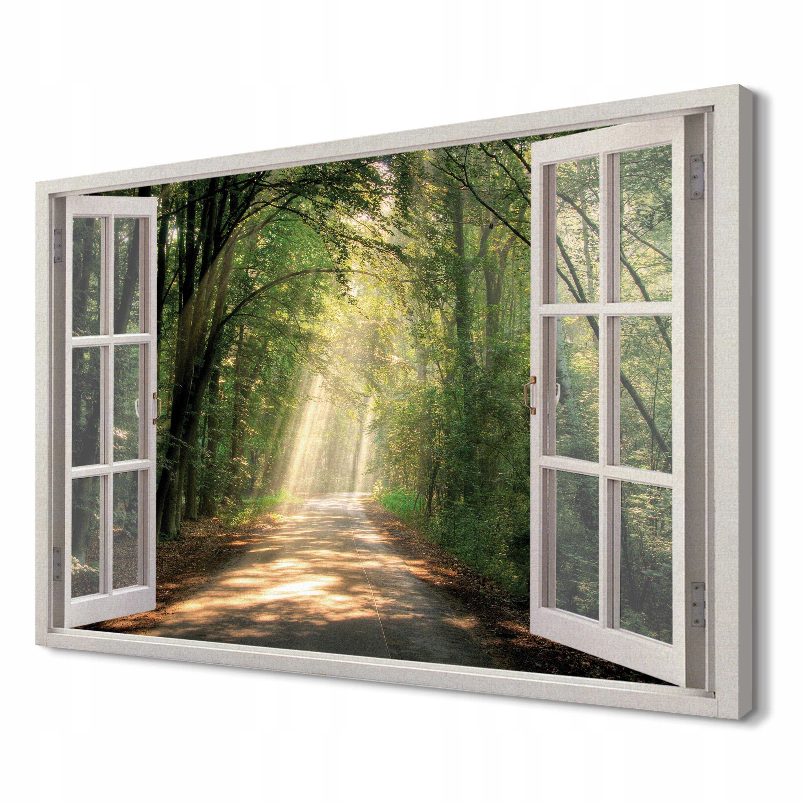 

Słoneczny las Foto na płótnie 3d 120x80 do biura