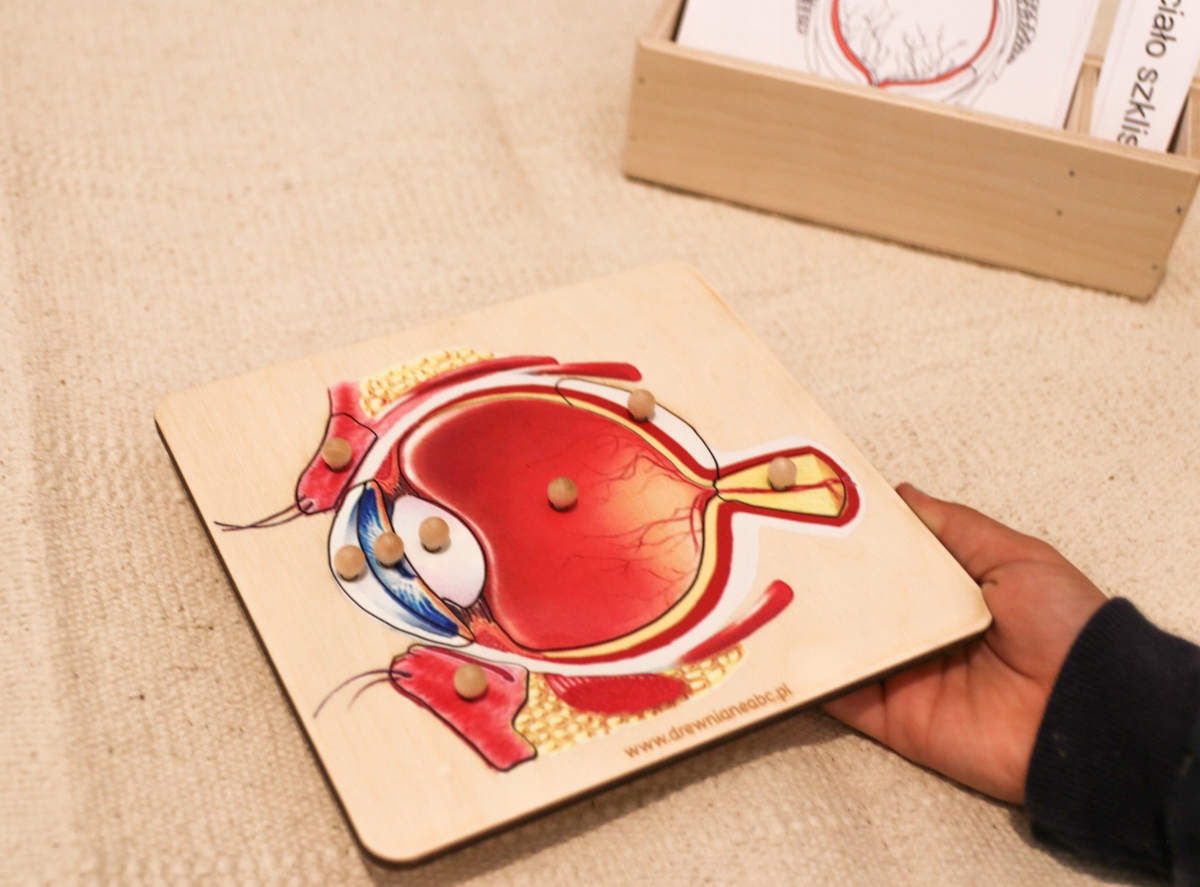 

drewniane puzzle budowa Oka Oko Montessori