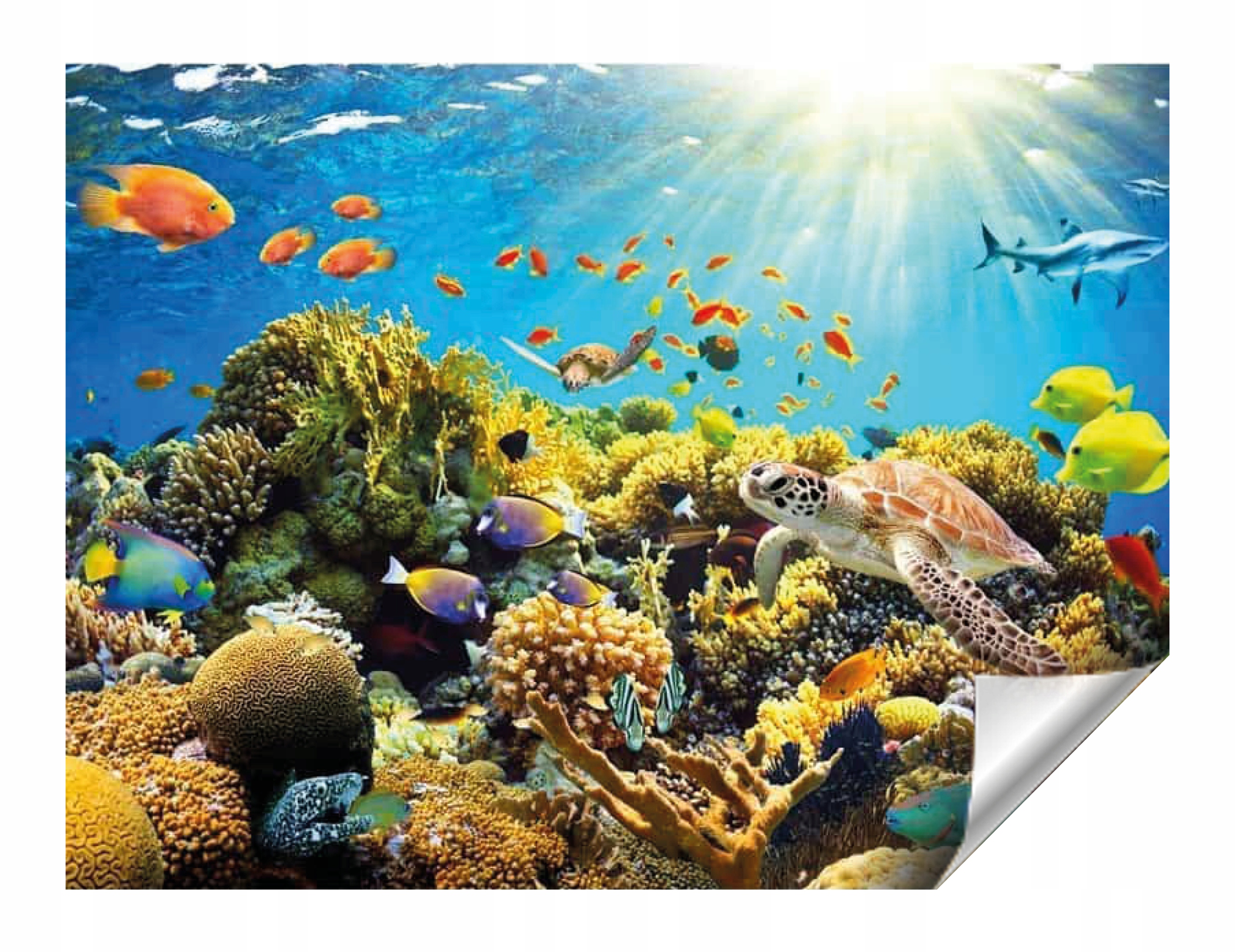 

Fototapeta 3D Flizelina 400x280 Akwarium klej