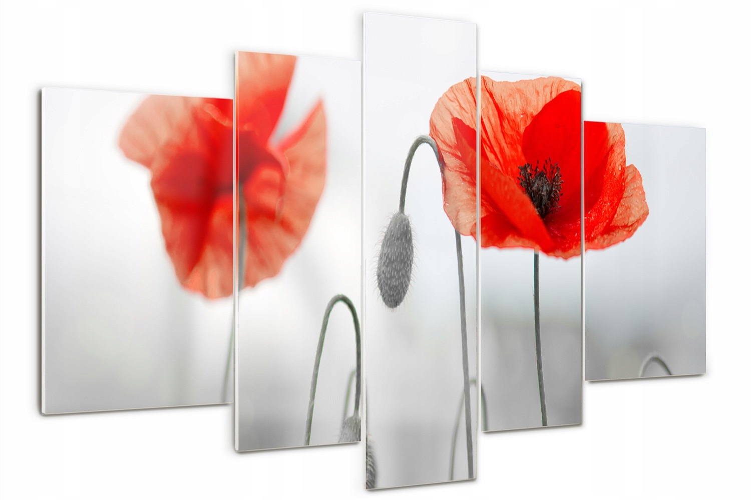 Foto Obraz skleněný velký triptych moderní Maki