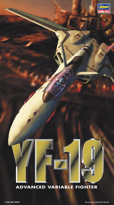YF-19 (Macross Plus) 1:72 Hasegawa