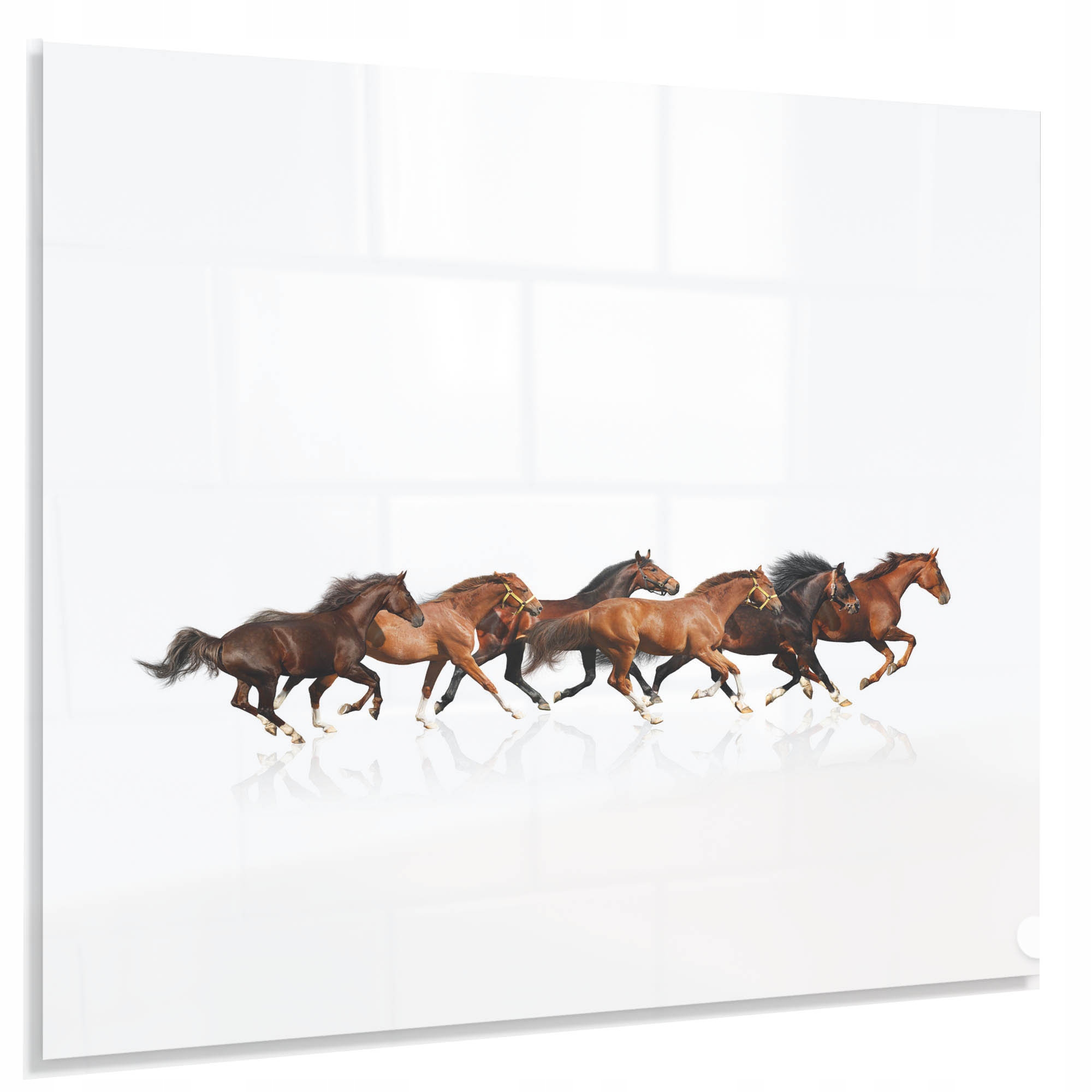 Ochranný Panel 4 mm 65x60 cm Dekoračný Lacobel Temperovaný Do Kuchyne