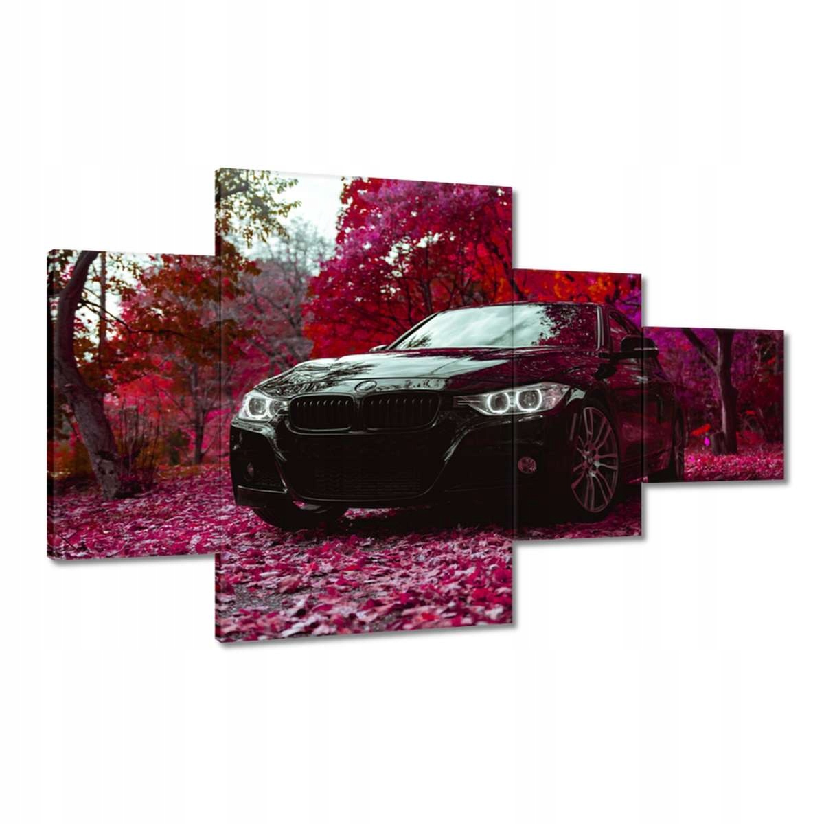 Obrazy 130x80 Černé Bmw Podzim