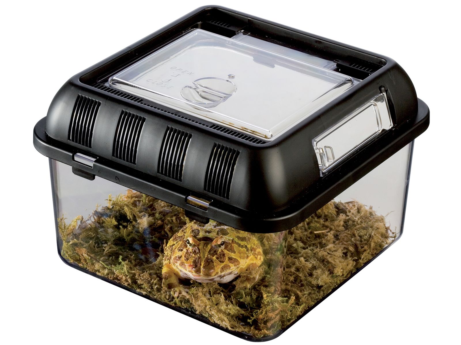 Levně Chovatelský box Faunarium pro pavouka S 20,5x20,5x14 cm terárium Exo Terra
