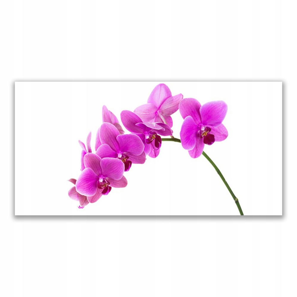

Obraz akryl ścienny 140x70 Storczyk Kwiat Orchidea