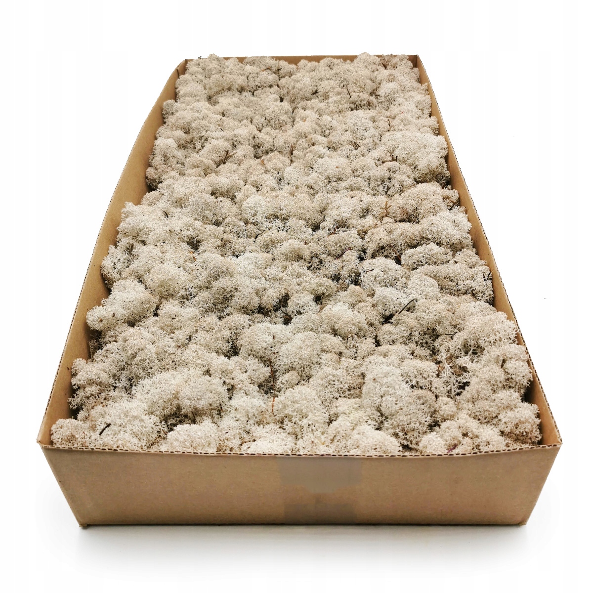 Mech chrobotek fiński 500g netto