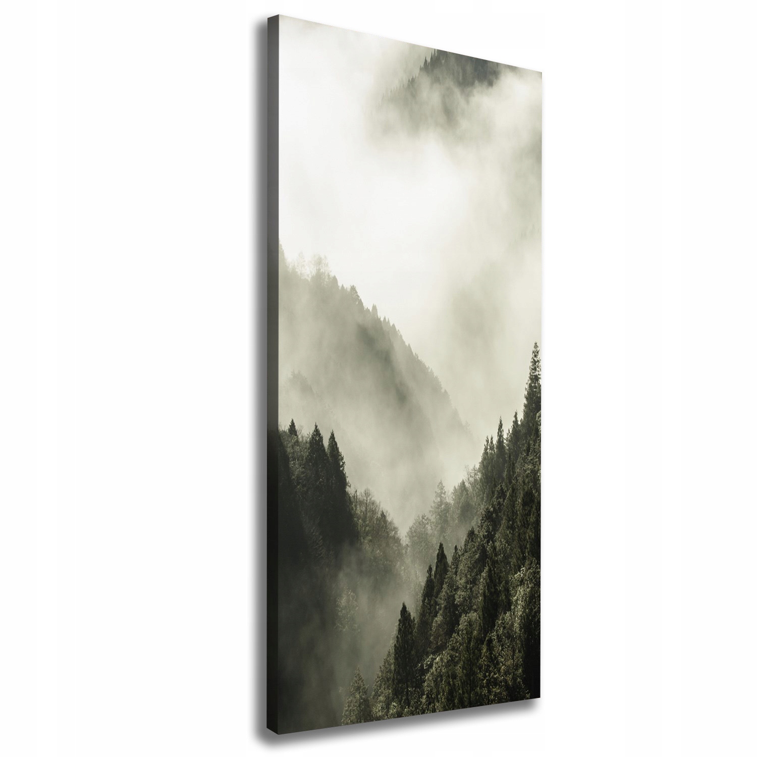 

Foto obraz na płótnie Mgła nad lasem 50x125 cm