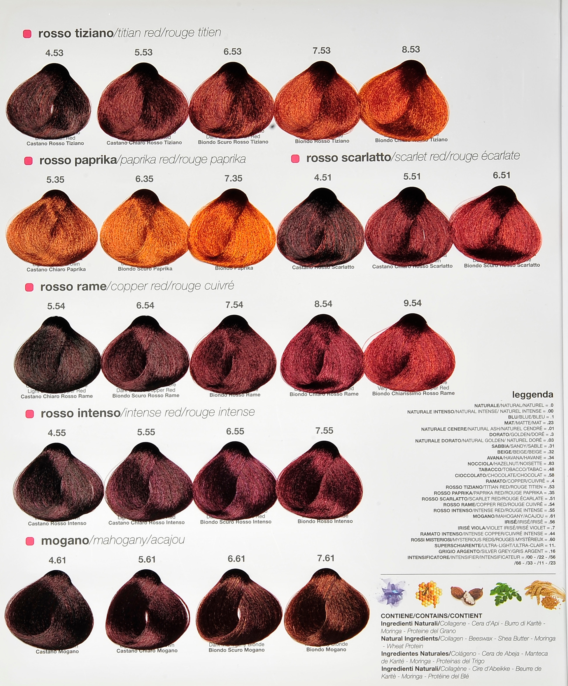 Renee Blanche Haute Coiffure Farba 100 ml, 8.4 Nazwa koloru producenta Renee Blanche 8.4