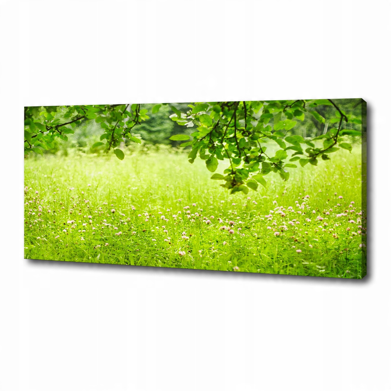 

Foto obraz duży na płótnie Zielona łąka 125x50 cm