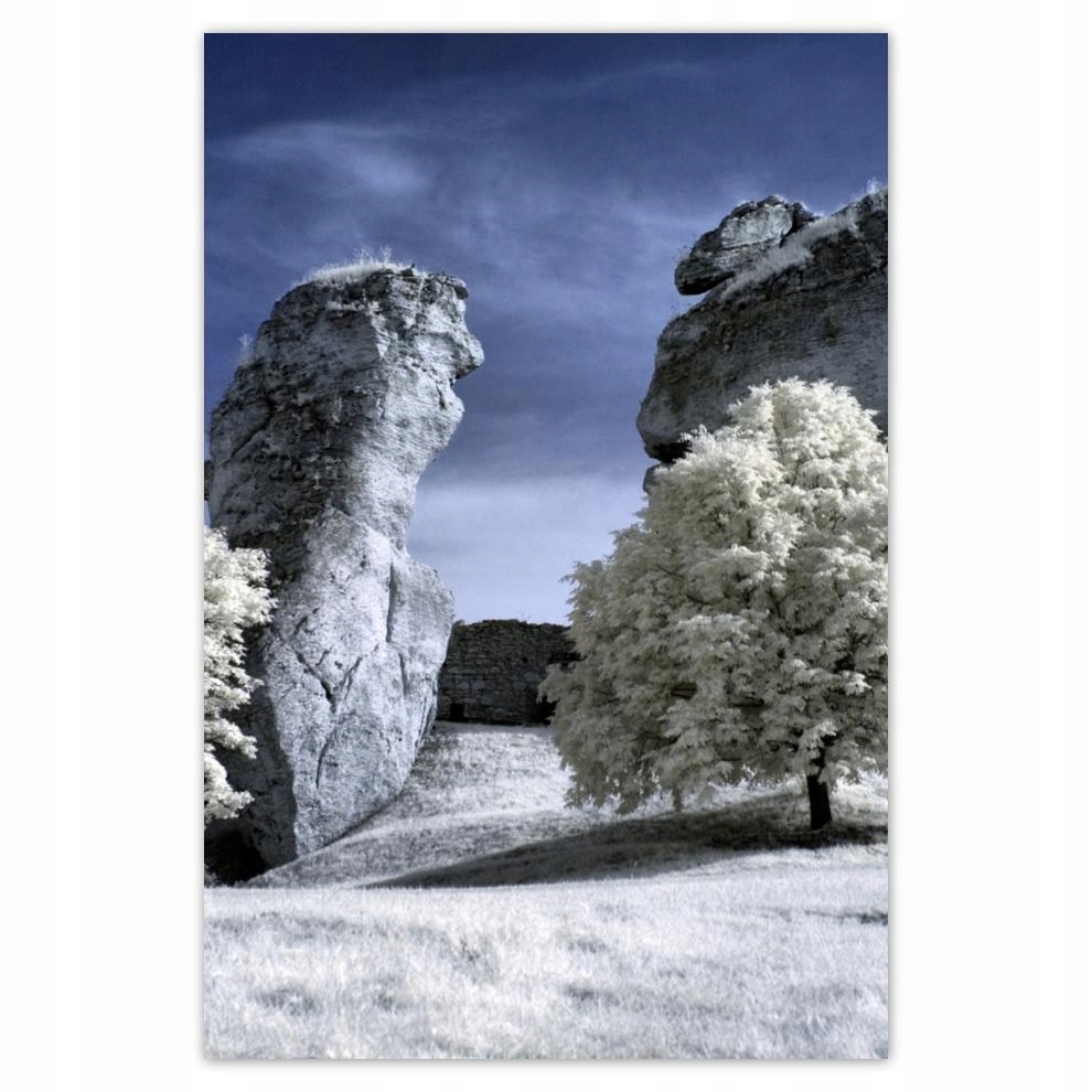 

Plakat 62x93 Pejzaż Fotka Podczerwień