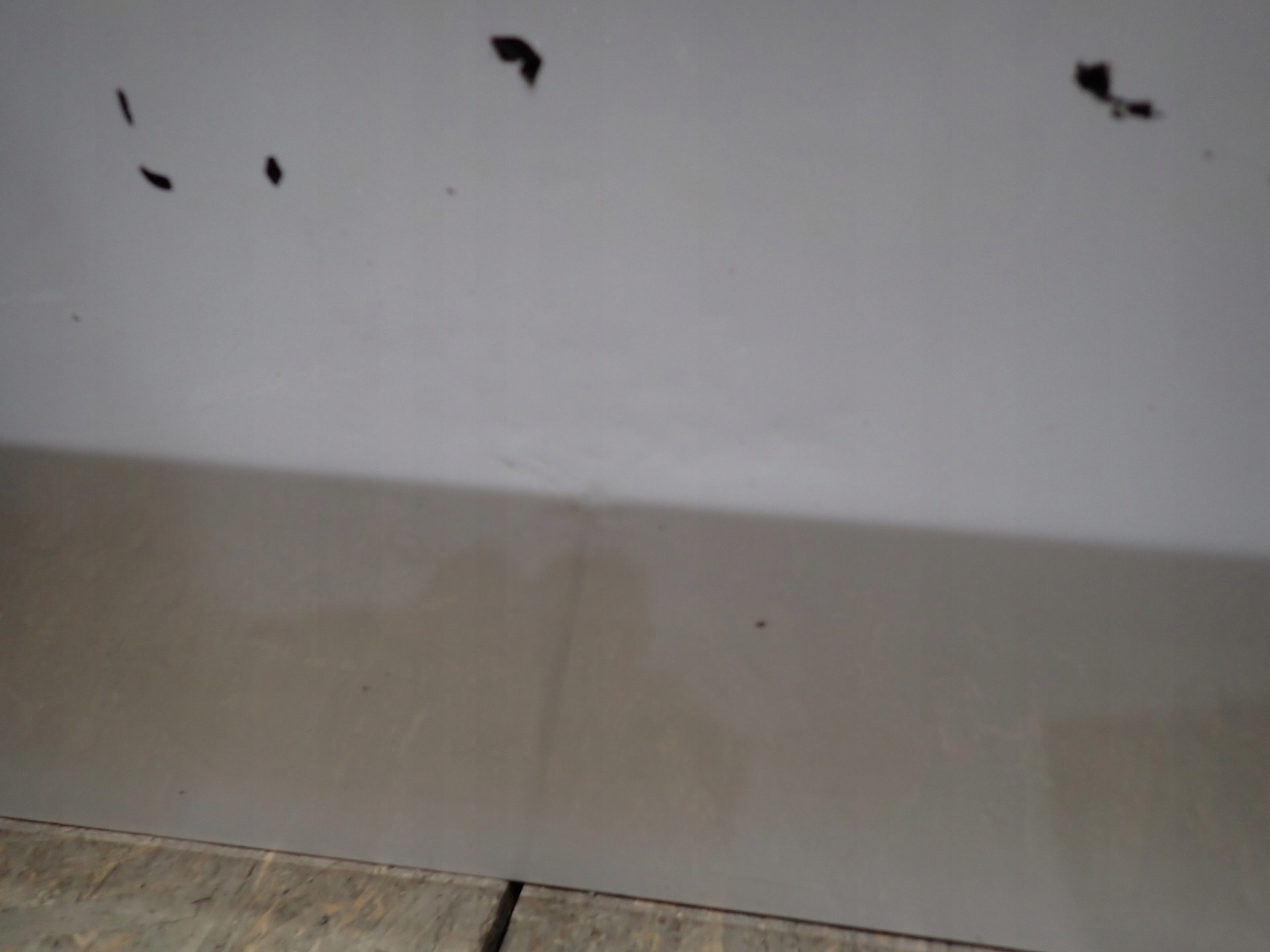door right front front MERCEDES A KLASA 177 2018