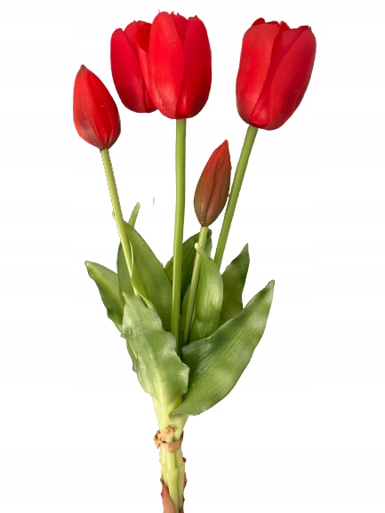 

Tulipan Tulipany Silikonowe Bukiet gumowe