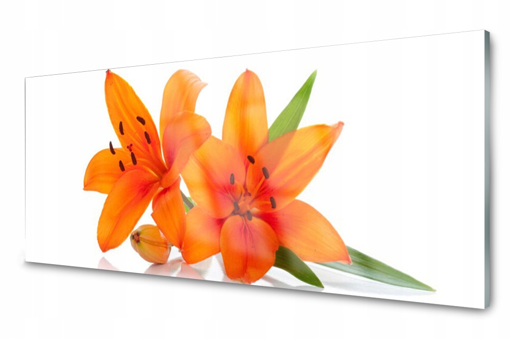 

Panel szklany do kuchni Pomarańczowe Kwiaty 125x50