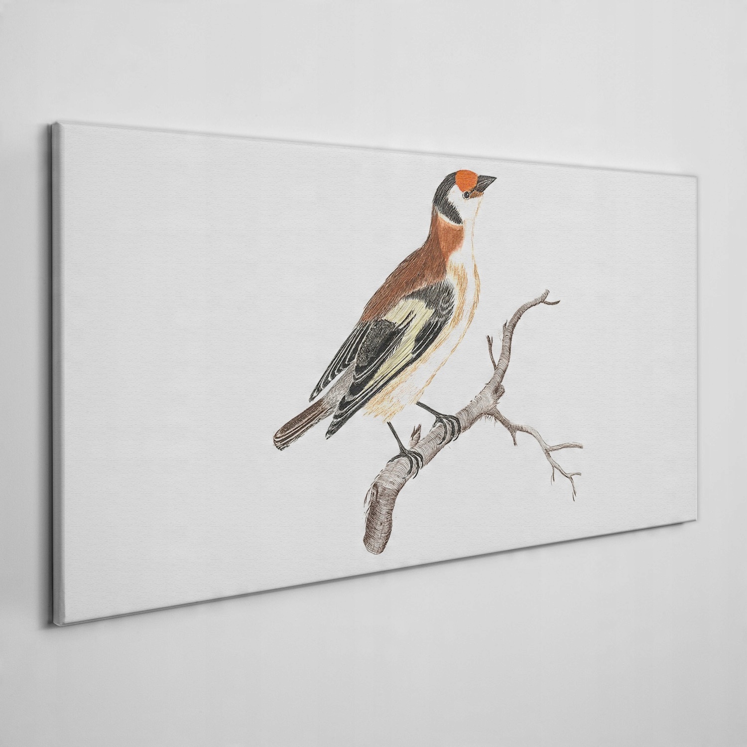 

Obraz na ramie płótno Zwierzę ptak gałąź 140x70 cm