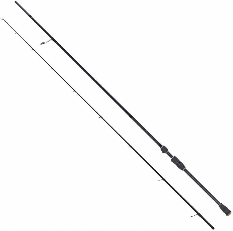 Robinson Diaflex Speeder Pike Spin 2,59m 10-38g