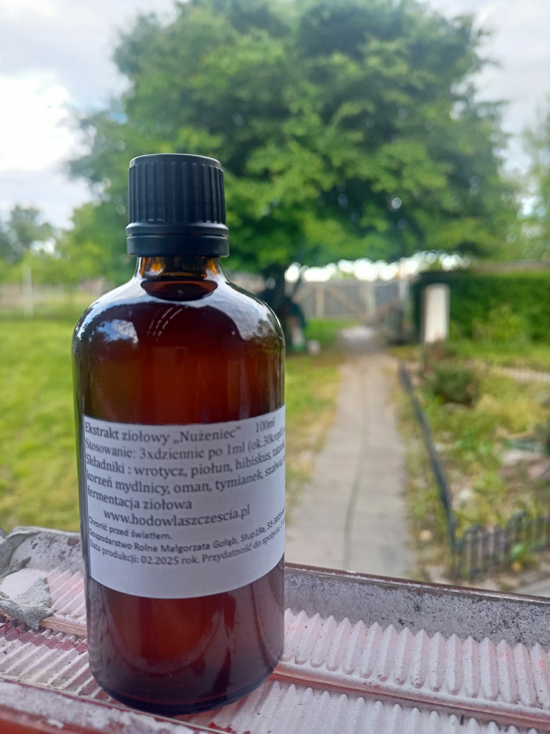 Silny Ekstrakt Ziołowy Na Nużeńca Opracowany Przez Zielarza Produkt Polski