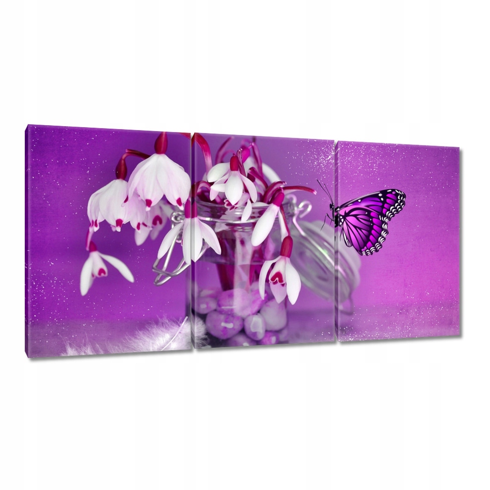 

Obrazy 120x60 Przebiśniegi i motylek