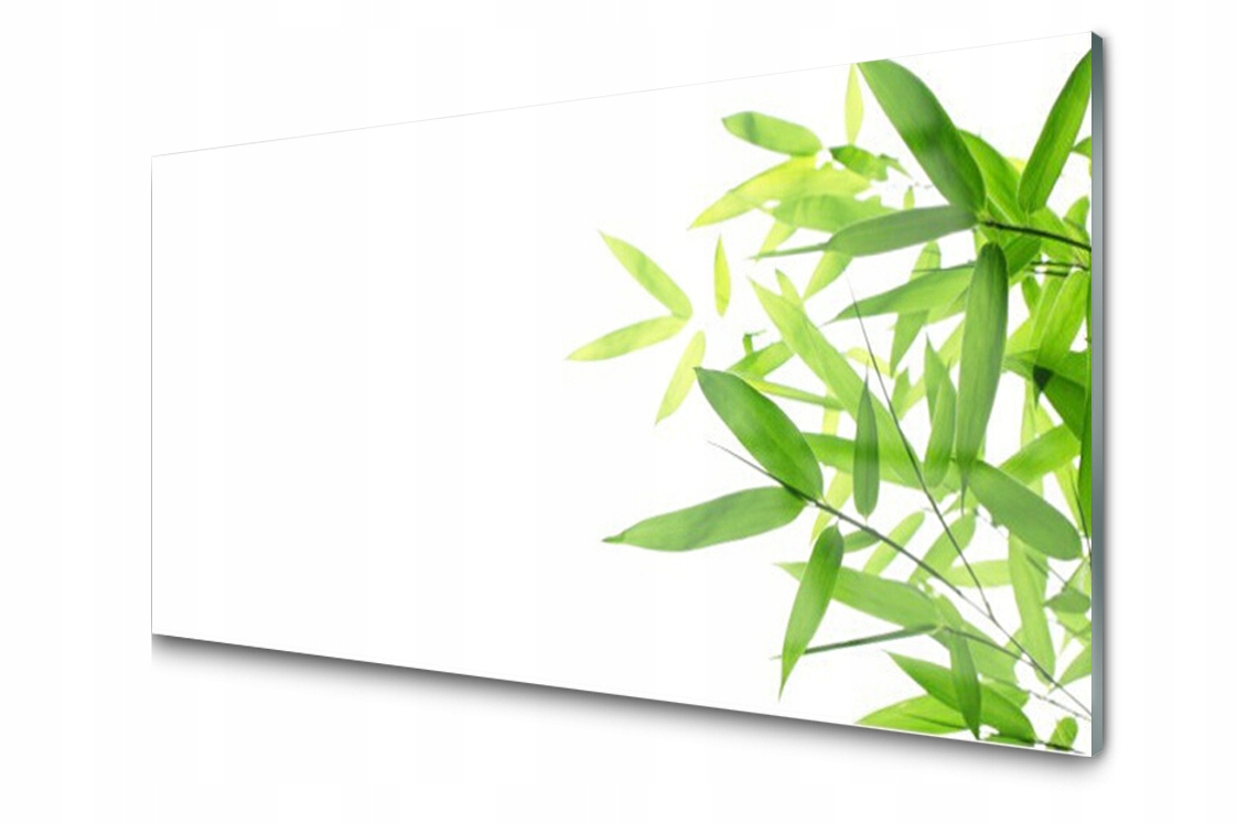 

Panel szklany dekor Liście Roślina 120x60 + Klej