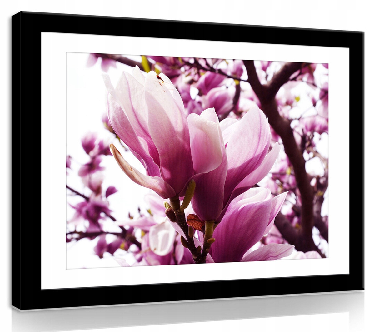 Obraz Na Plátně Canvas 100x75 Květy Magnolie