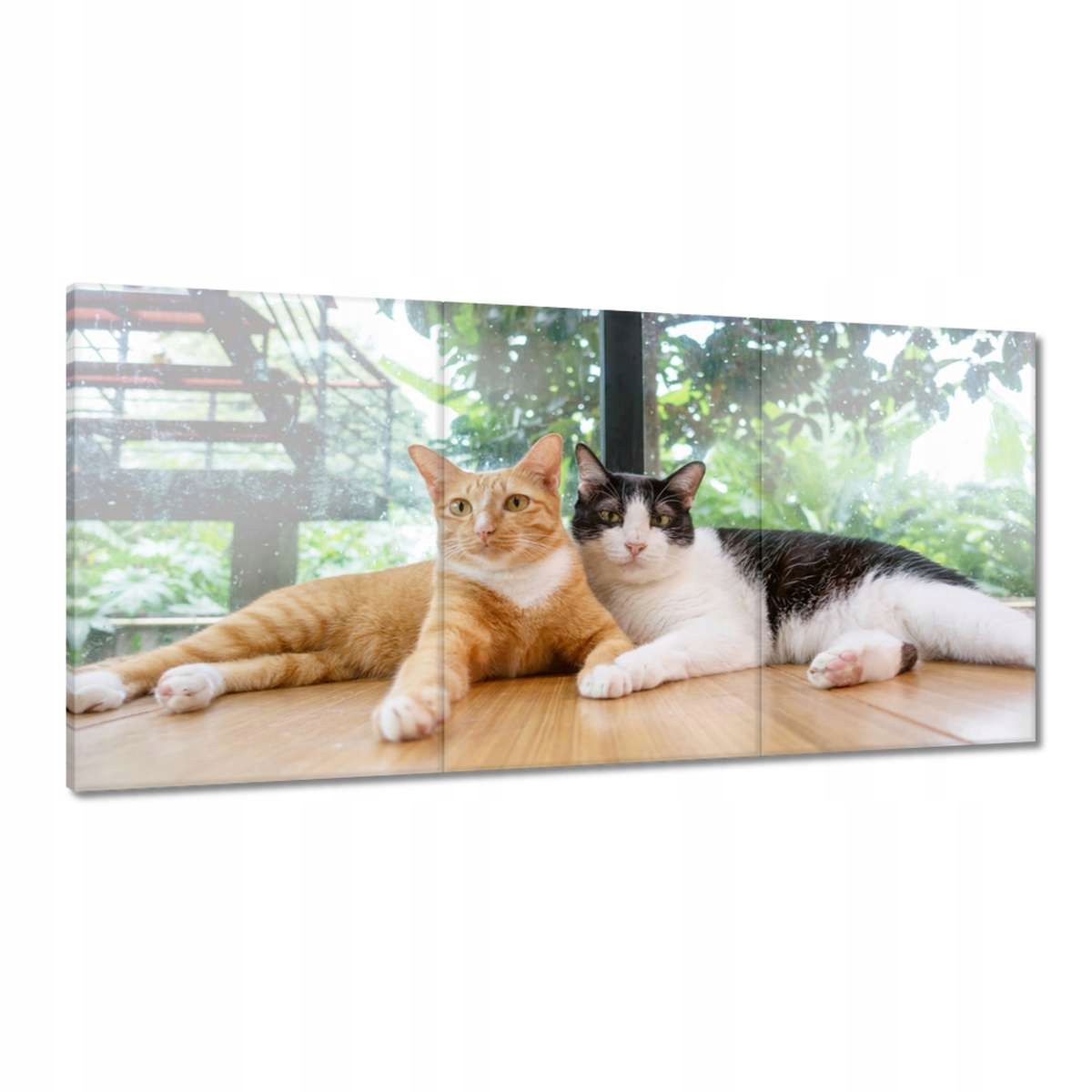 Obrazy 180x90 Mačka Mačky Kicia