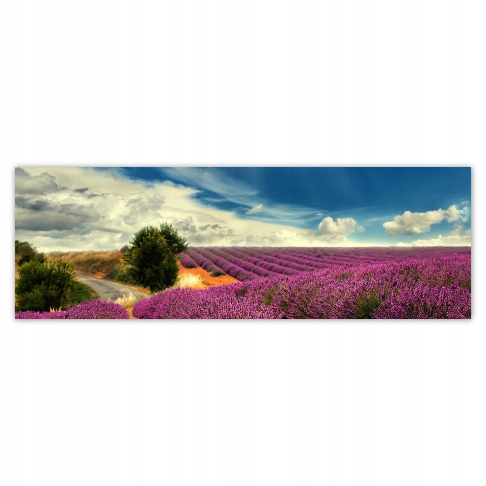 

Fototapety flizelina 312x104 Lawendowy pejzaż