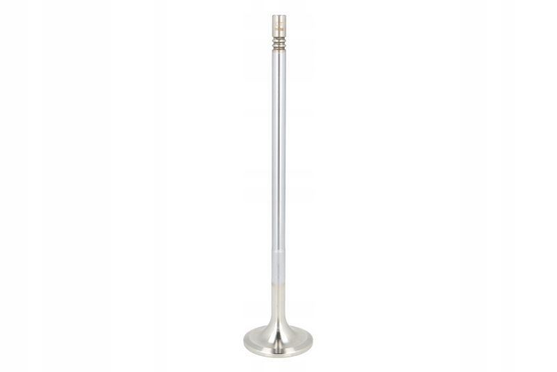 Впускний клапан DT 6.22055