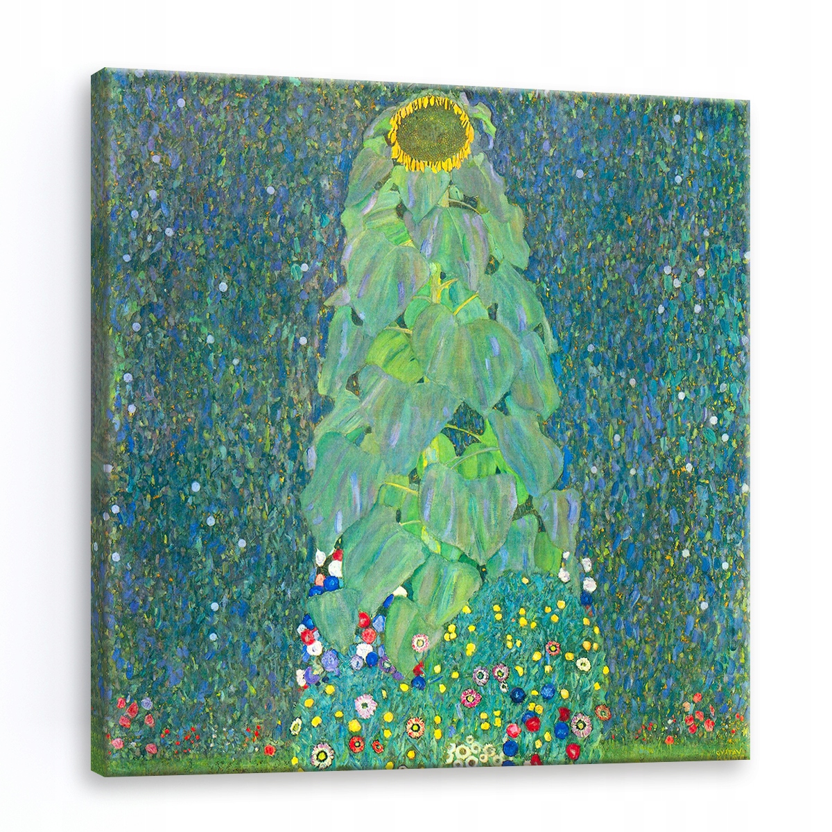 

Reprodukcja Klimt Słonecznik 40x40 obraz płótno