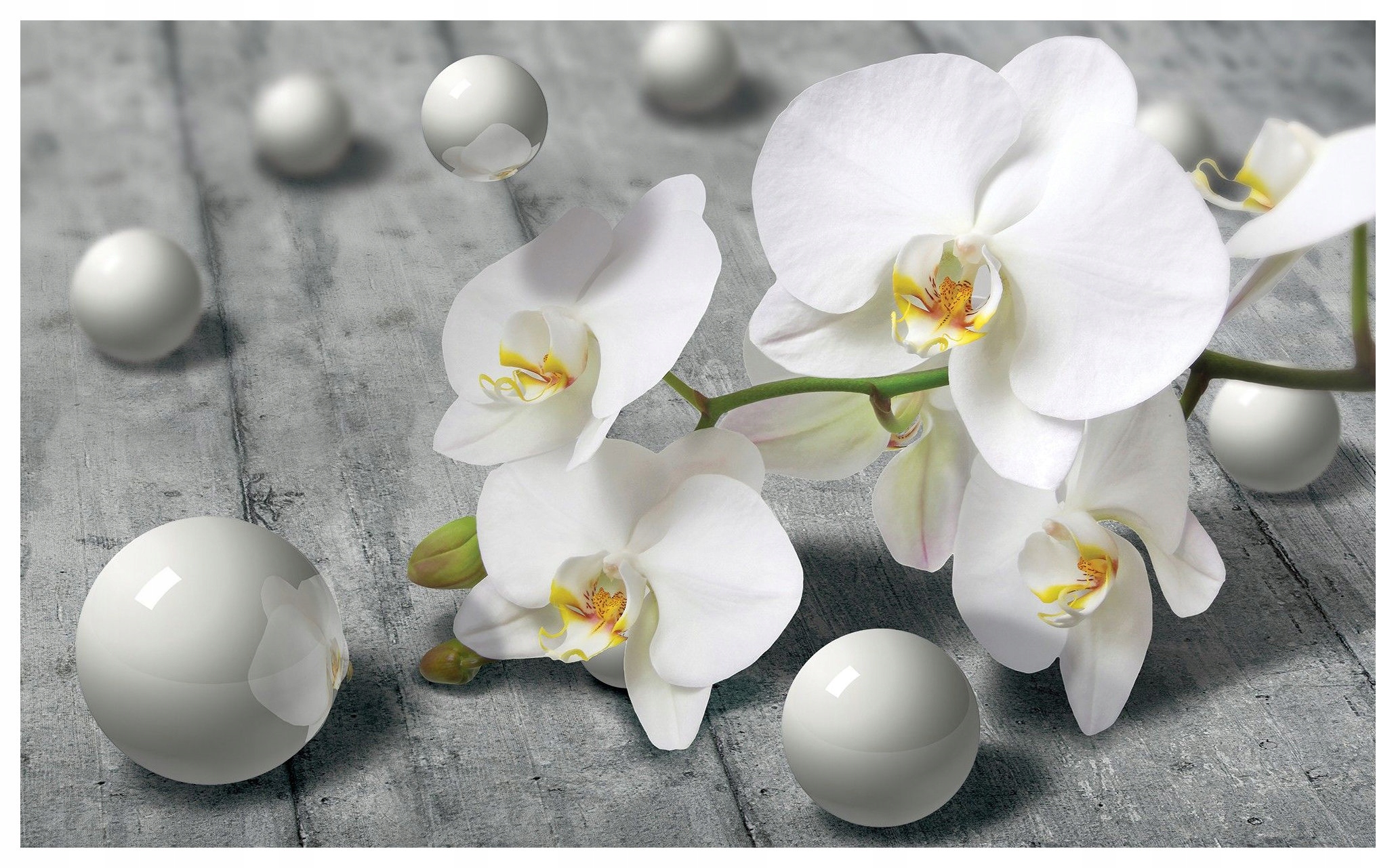 Tapeta Orchidea biela šedá 312x219 vinyl Elegantné kvety textúra lepidlo