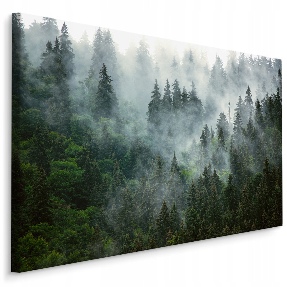 

Obraz Ścienny Las We Mgle Natura Pejzaż 3D 120x80